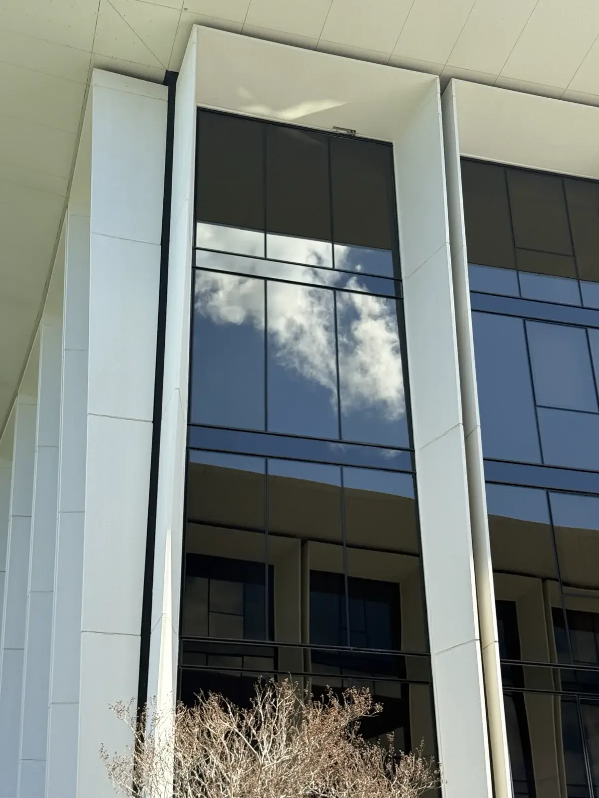 High residential façade windows clear after specialist restoration